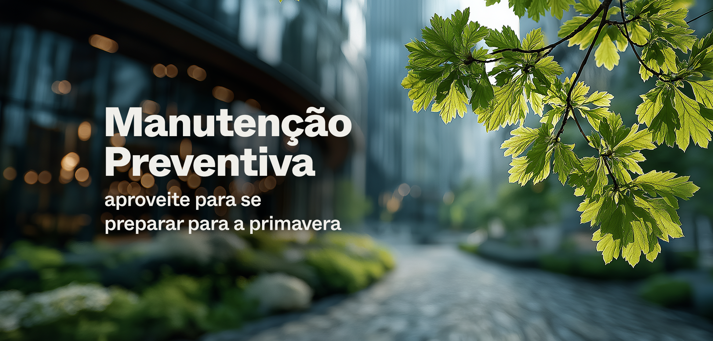 CF_09_Setembro_Blogpost_Blog